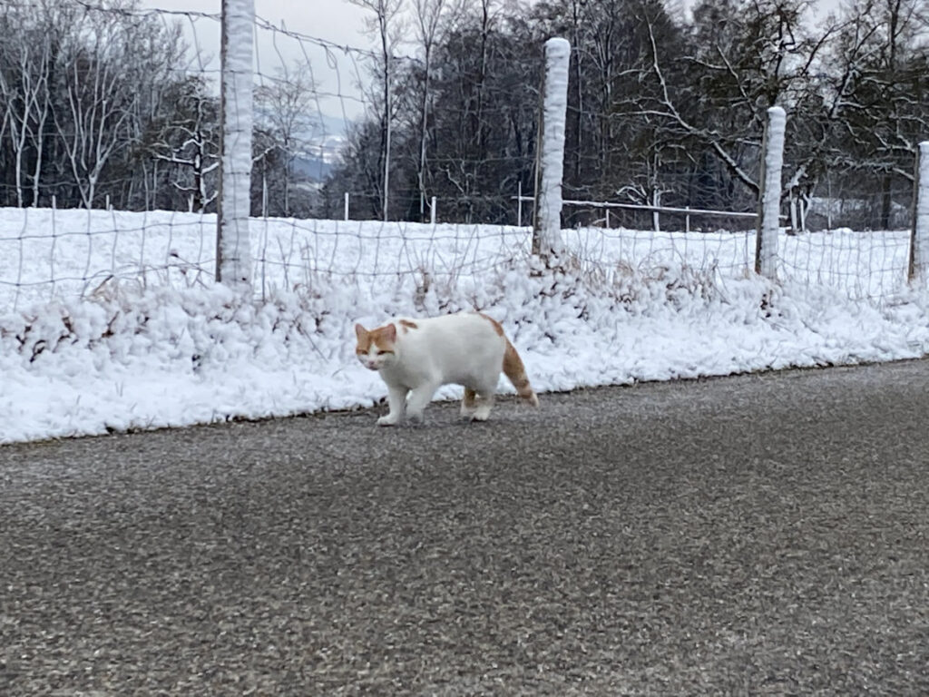 März 2021 Winter Ottenberg Weinfelden Wyfelder