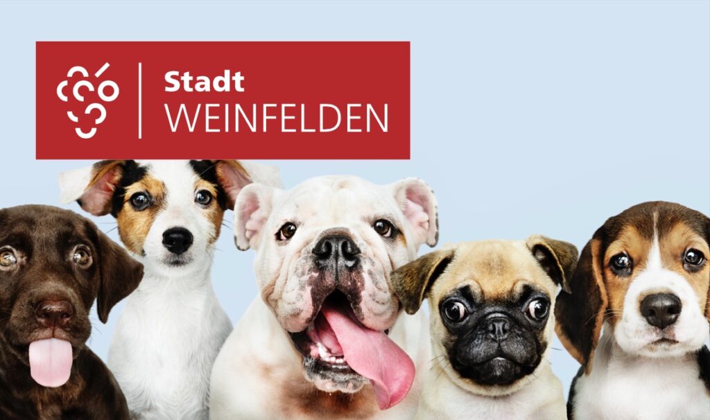 Hundewissen kompakt weinfelden wyfelder robydog