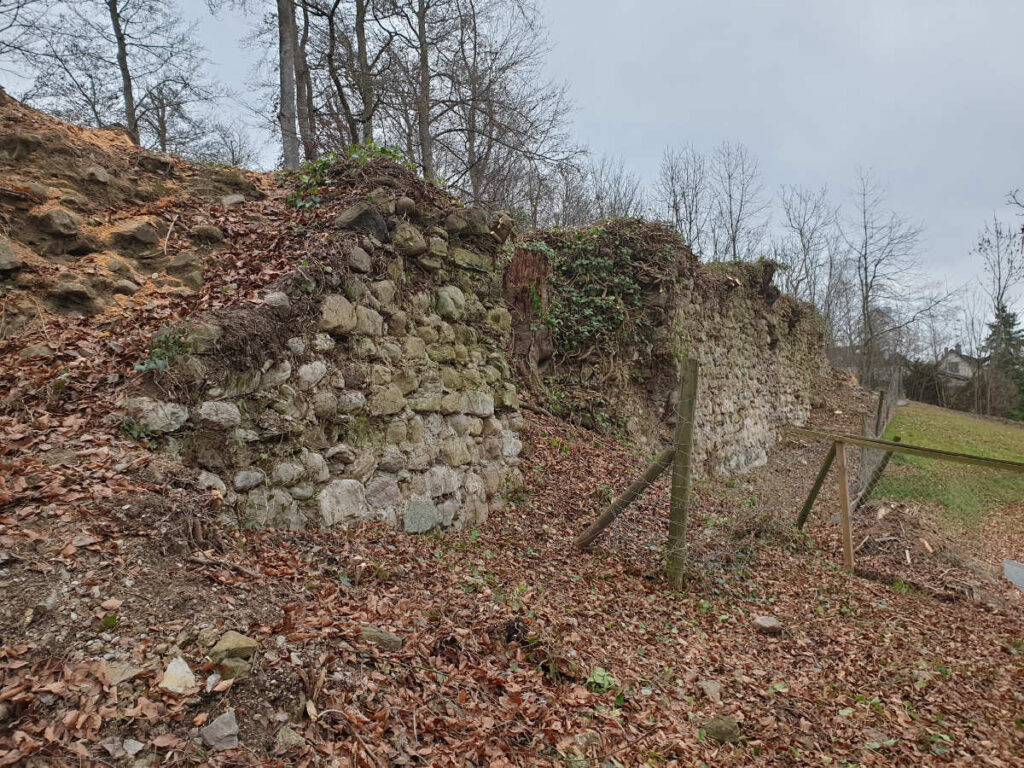 Neuburg Weinfelden Wyfelder Ausgrabungen