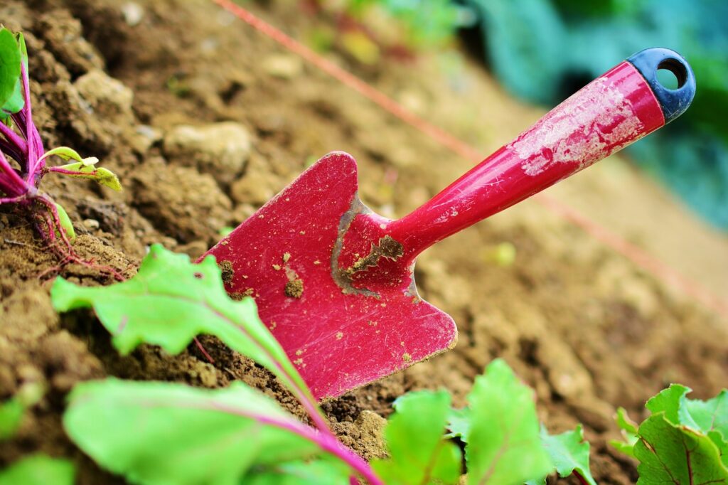 torffrei weinfelden wyfelder garten erde