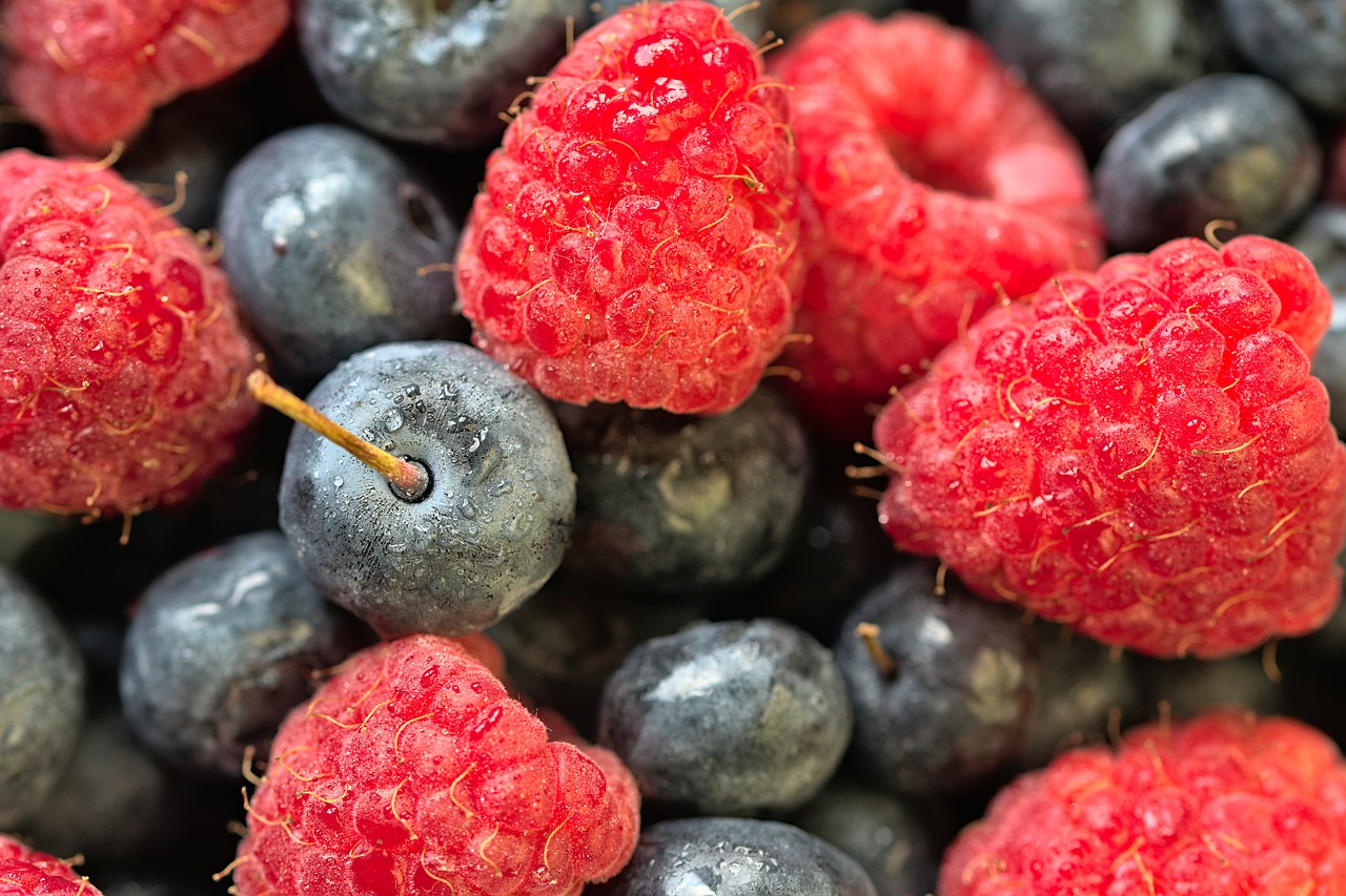 himbeeren blaubeeren bio