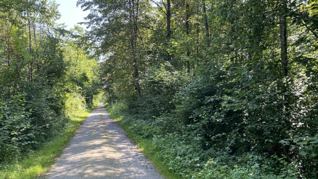 wald weinfelden wyfelder