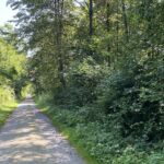 Neues Waldgesetz tritt am 1. Januar 2026 in Kraft