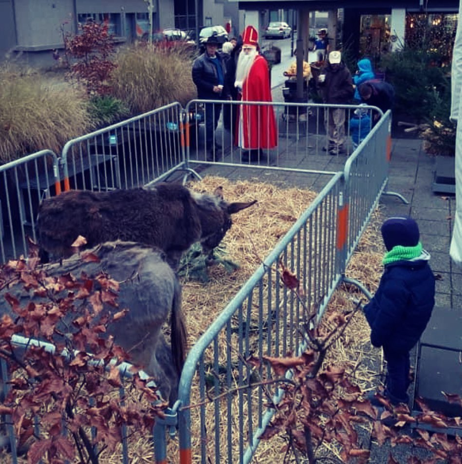samichlaus schmutzli esel madörin früchte und genüsse