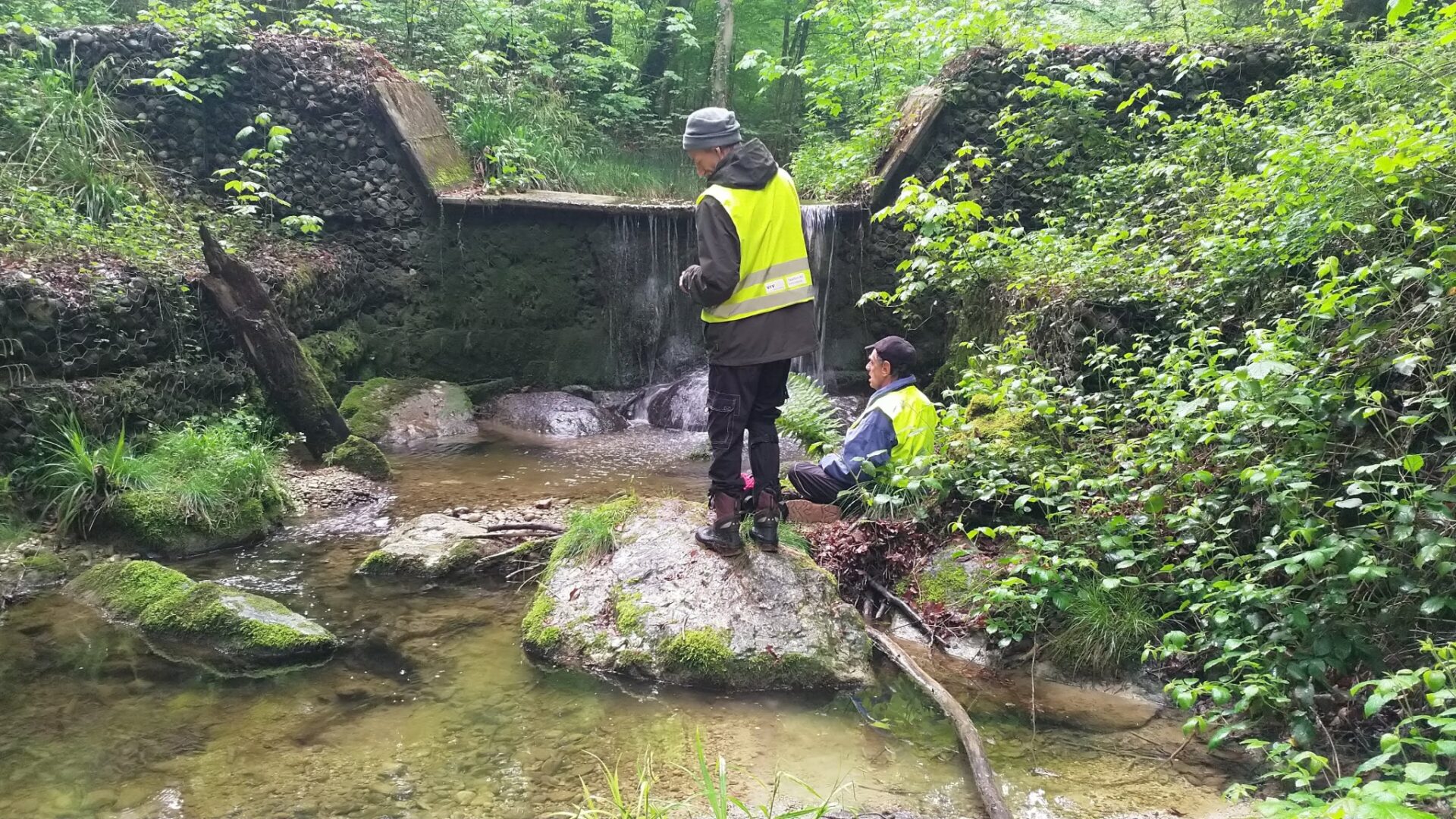 vivala weinfelden am wasserfall
