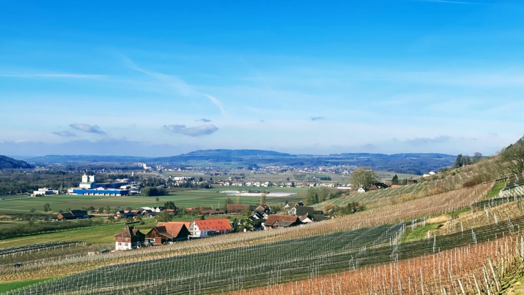 kanton thurgau bau weinfelden frauenfeld