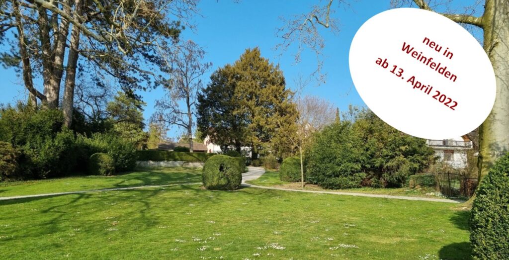 out door trainign weinfelden wyfelder