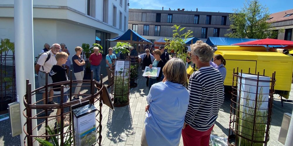 Die Ausstellung «Invasive Neophyten» bietet Gelegenheit sich in natura über die verbreitetsten exotischen Problempflanzen zu informieren.