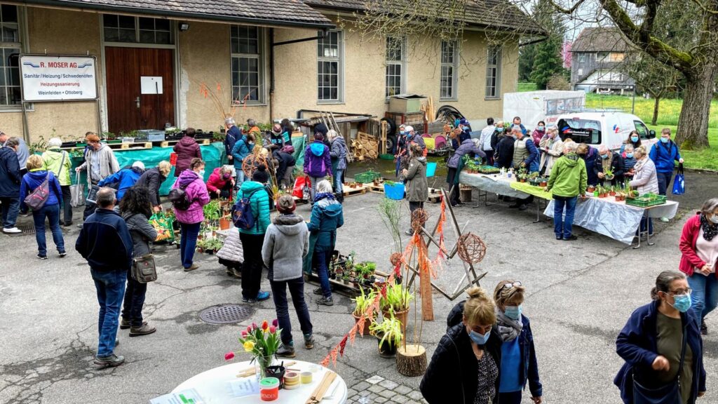 bioterra Pflanzenbörse Freiestrasse Bioterra Thurgau-Bodensee Gemeinschaftsgarten Frauenverein Weinfelden Wyfelder 05