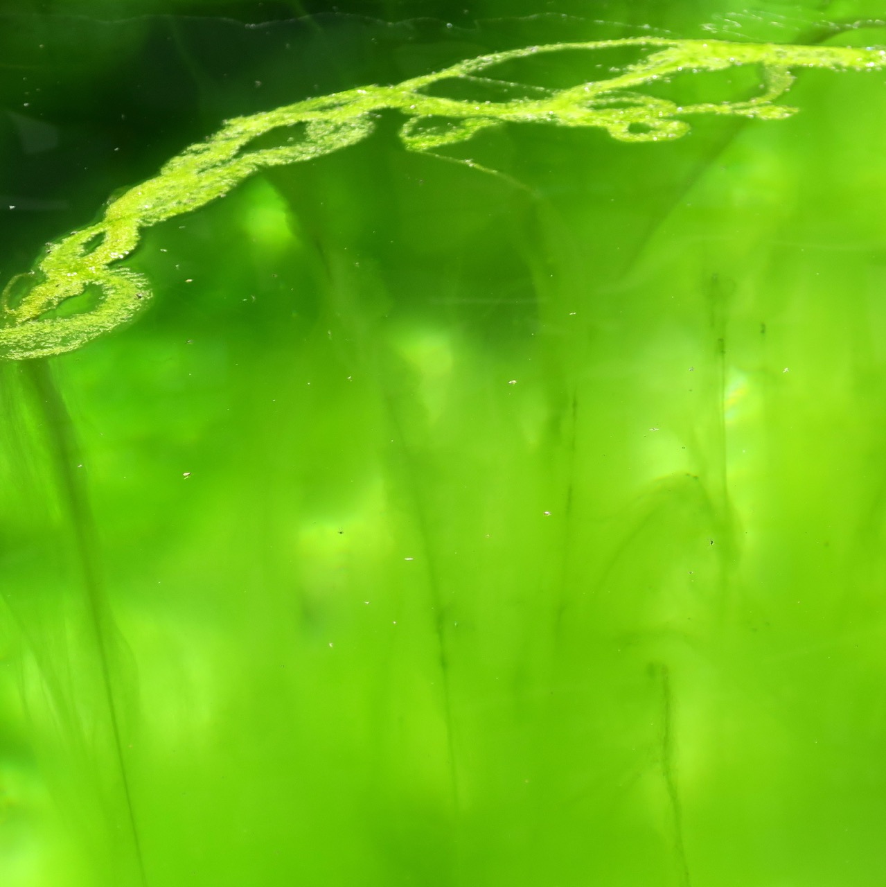 Frauenfelderstrasse Farbbrunnen 2019 05 31 wyfelder Groß