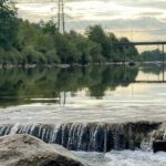 WYFELDER wächst weiter – immer mehr Menschen lesen lokale Nachrichten online