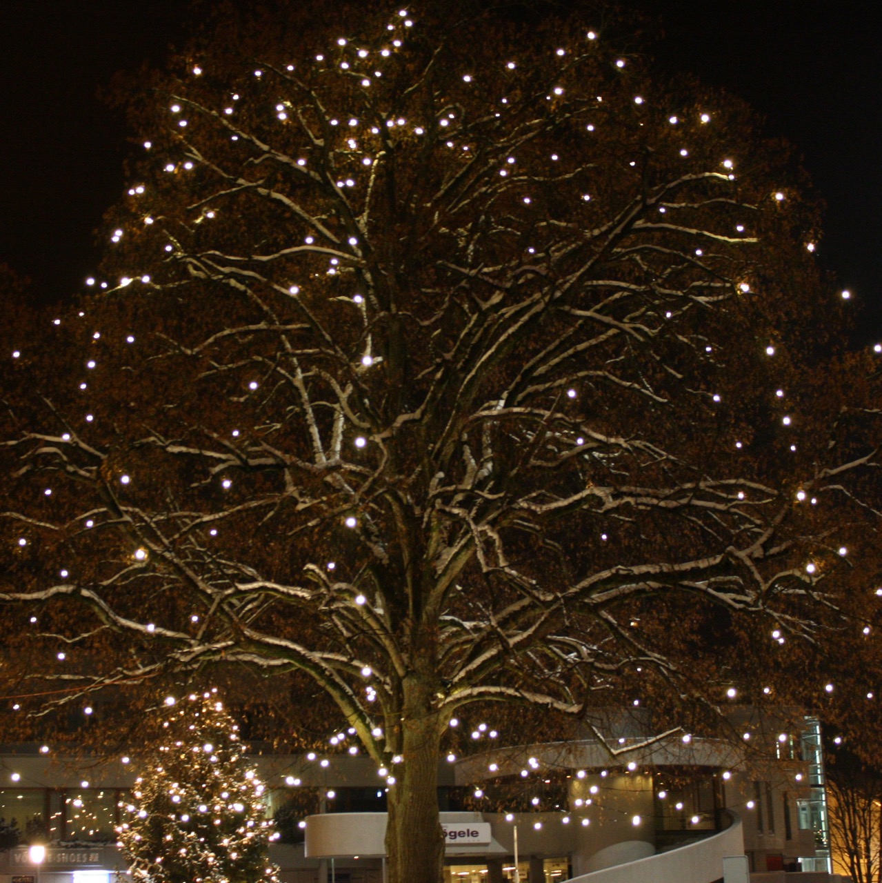weihnachtsbeleuchtung weinfelden fotos martin sax wyfelder lokal informiert