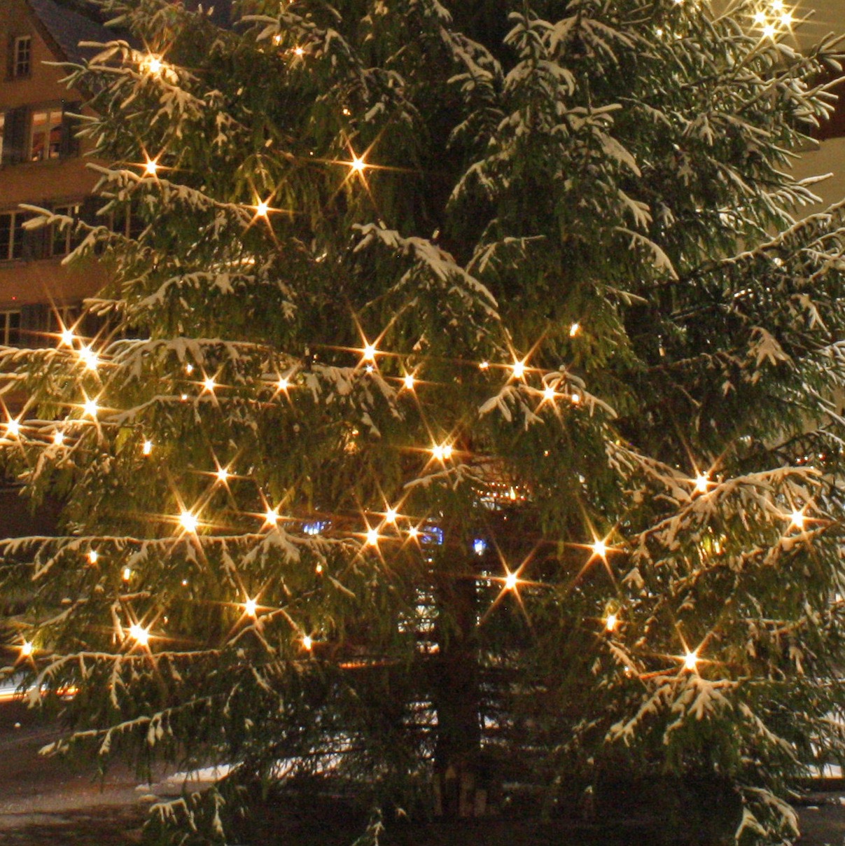 weihnachtsbeleuchtung weinfelden fotos martin sax wyfelder lokal informiert