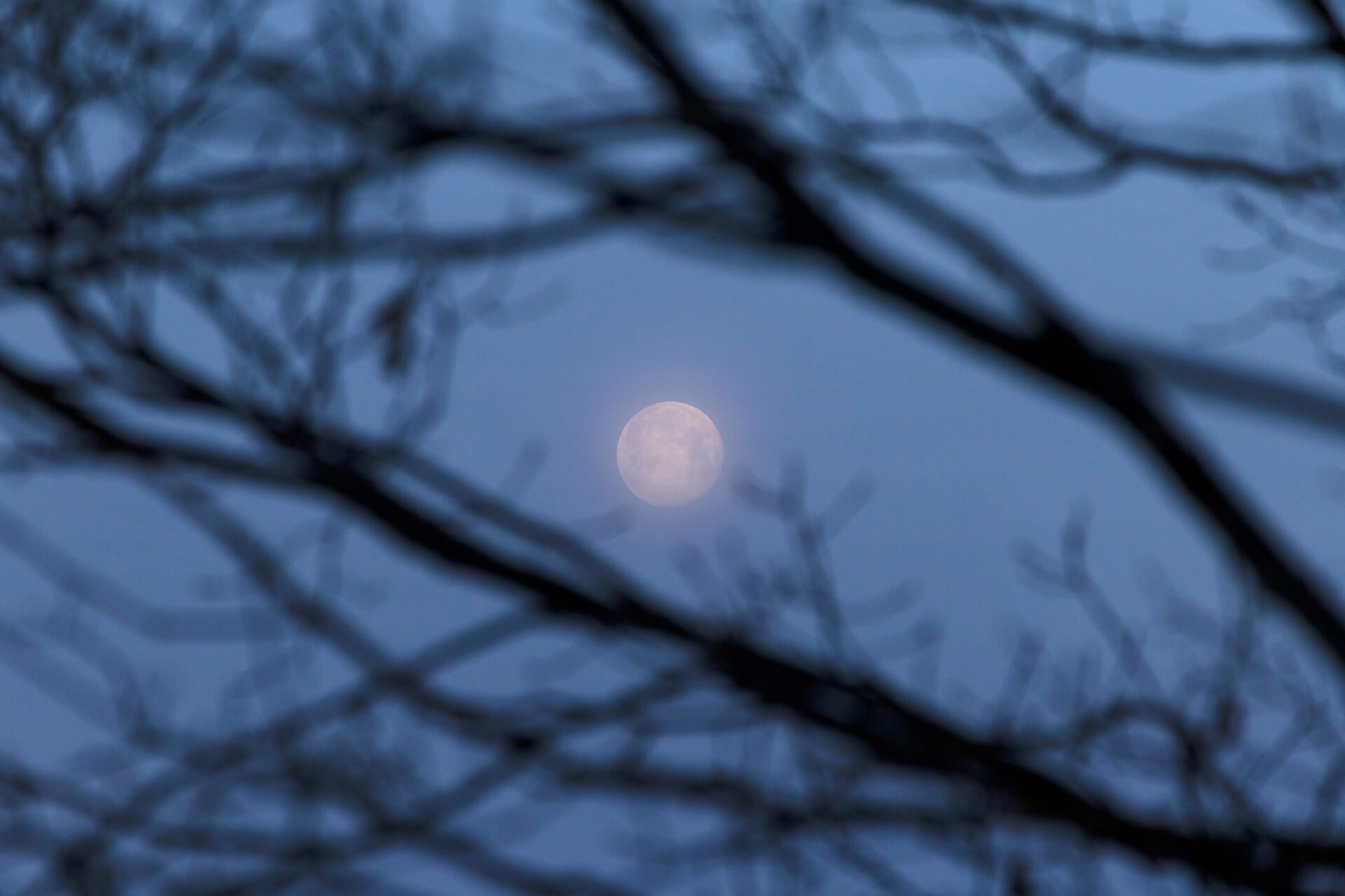 vollmond im janauar