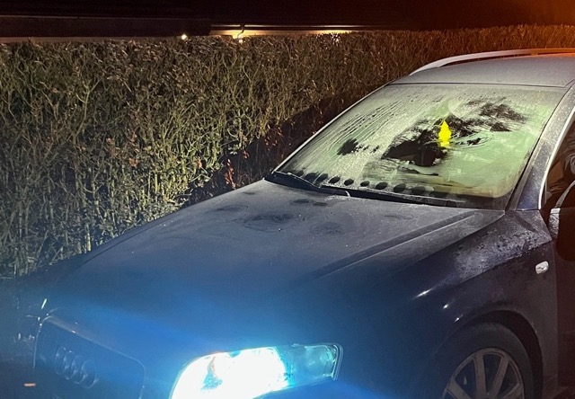 Die Sicht bei den kontrollierten Fahrzeugen war teilweise sehr stark eingeschränkt. (Bilder: Kantonspolizei Thurgau7