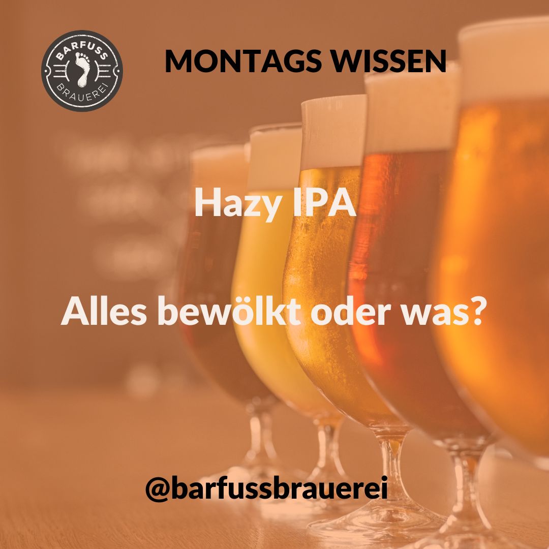 Hazy IPA barfussbrauerei bierwisssen wyfelder