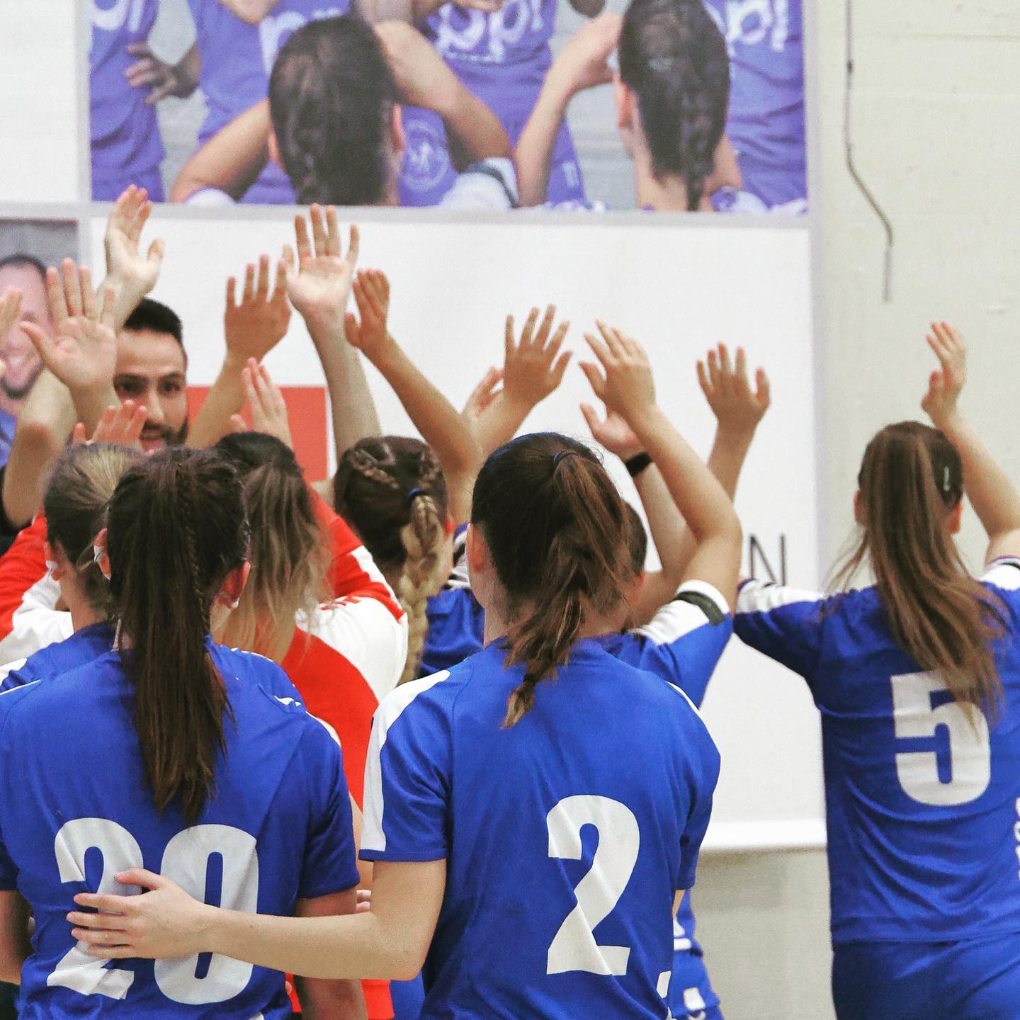 bsv weinfelden handball