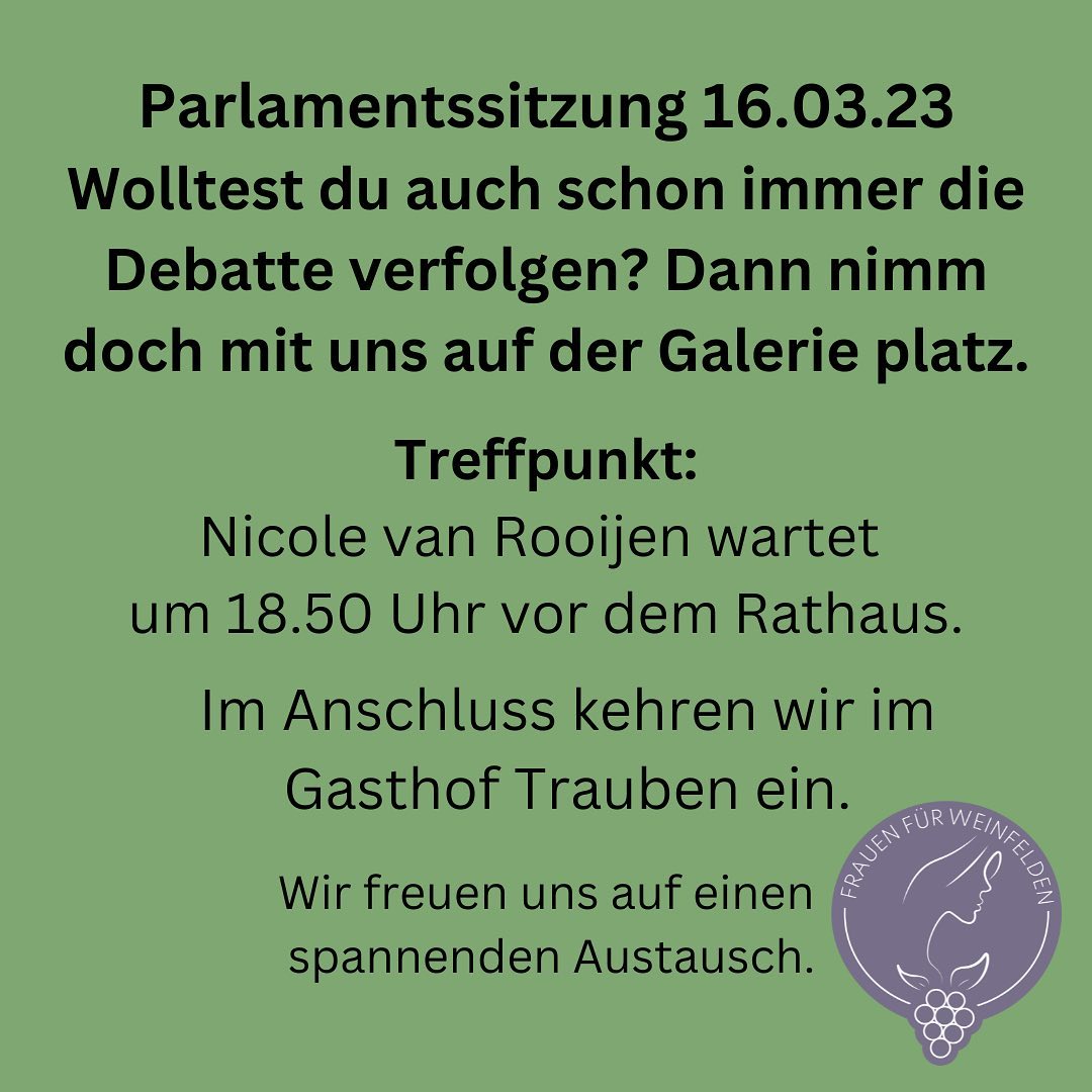 frauen für weinfelden soziale medien post parlaementsitzung märz 2023