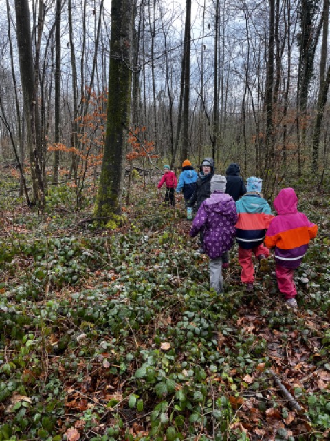 saisoneröffnung waldschulzimmer weinfelden wyfelder märz 2023 5