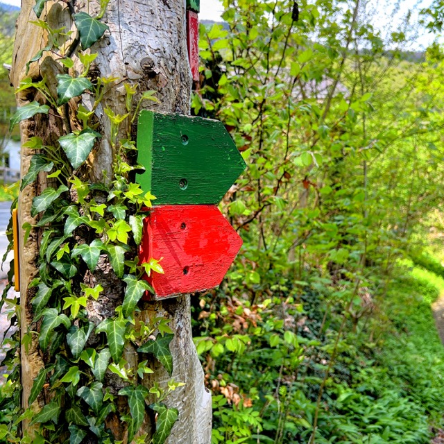 lebenserwartung wyfelder foto david keller mediazeit weinfelden