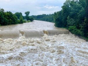 Hochwasserschutzdamm in Weinfelden wird instand gesetzt