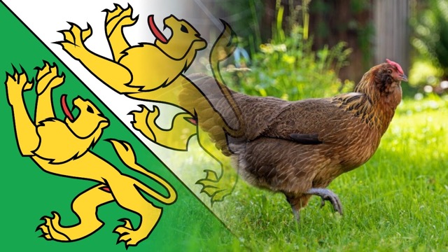 Regierungsrat begrüsst die Änderungen bei der Ein-, Durch- und Ausfuhr von Tieren_1
