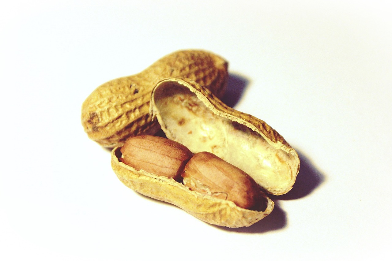 peanuts, nuts, snack-1046136.jpg