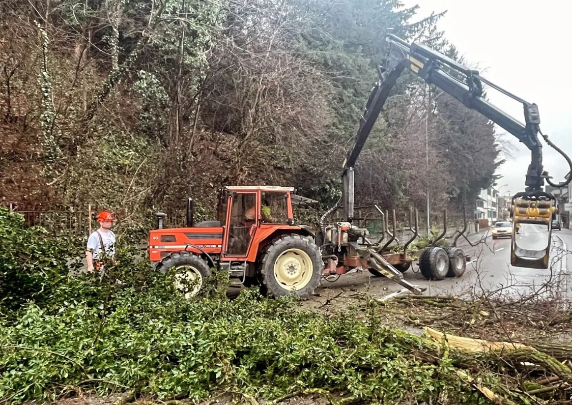 Einsatz gegen Naturgewalt: Feuerwehr Weinfelden räumt umgestürzten Baum von Amriswilerstrasse