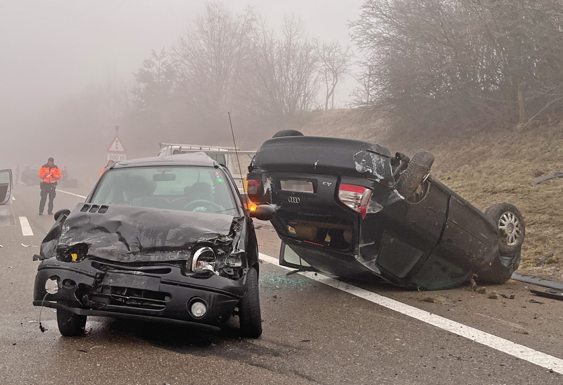 Es wurden rund 20 Fahrzeuge beschädigt. (Bild: Kantonspolizei Thurgau)