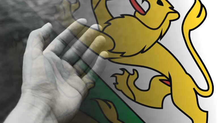 Informationsplattform für kantonale Hilfsangebote kanton thrugau WYFELDER – lokal informiert