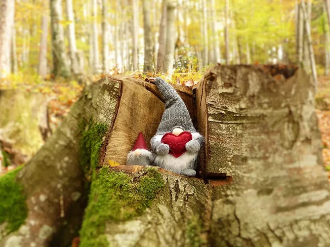 Märchennachmittag im Waldschulzimmer Waldschule Weinfelden, Weinfelden