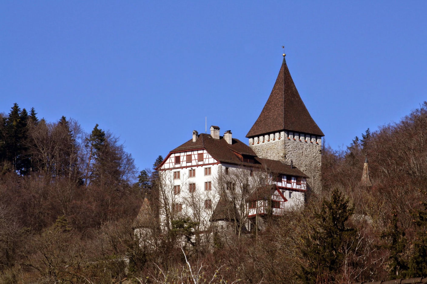 Die missverstandene Schlossgeschichte Weinfeldens WYFELDER – lokal informiert schloss weinfelden