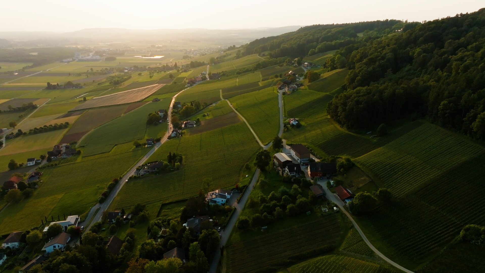 Erlebnistage 2024: Neues Programm für den Weinfelder WEINWEG - Wyfelder lokal informiert