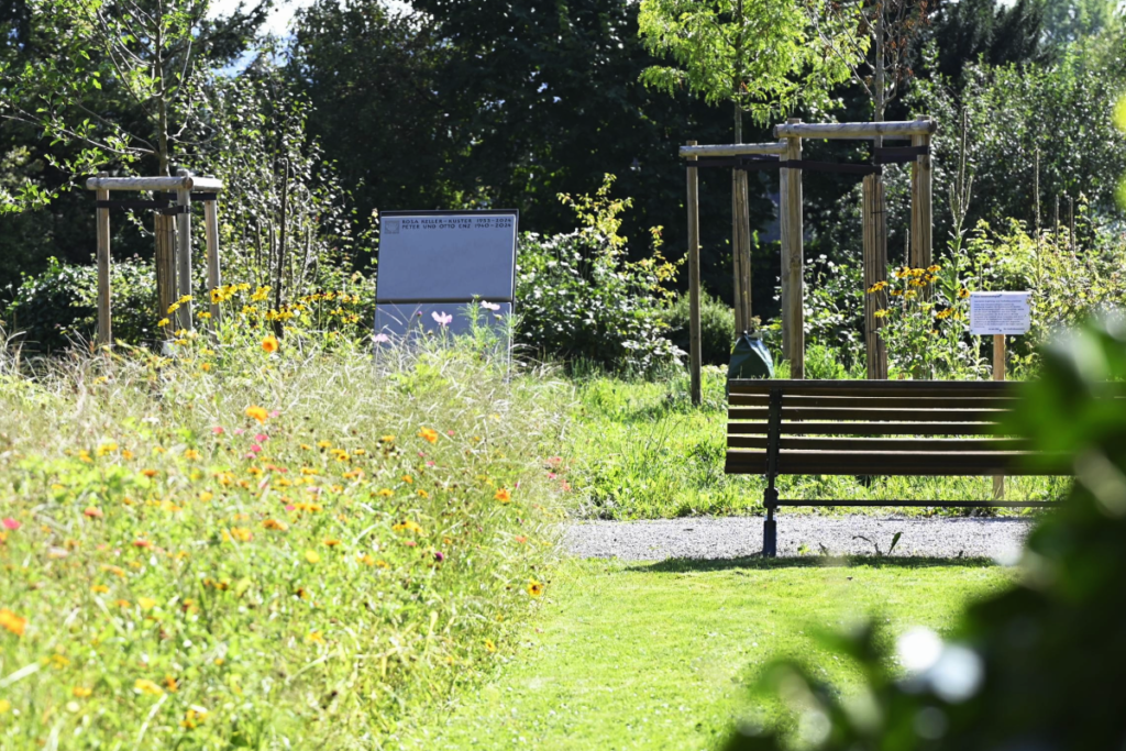 Friedhof Weinfelden mit Blick auf das noch junge Baum-Gemeinschaftsgrab (Bild: Stadt Weinfelden)