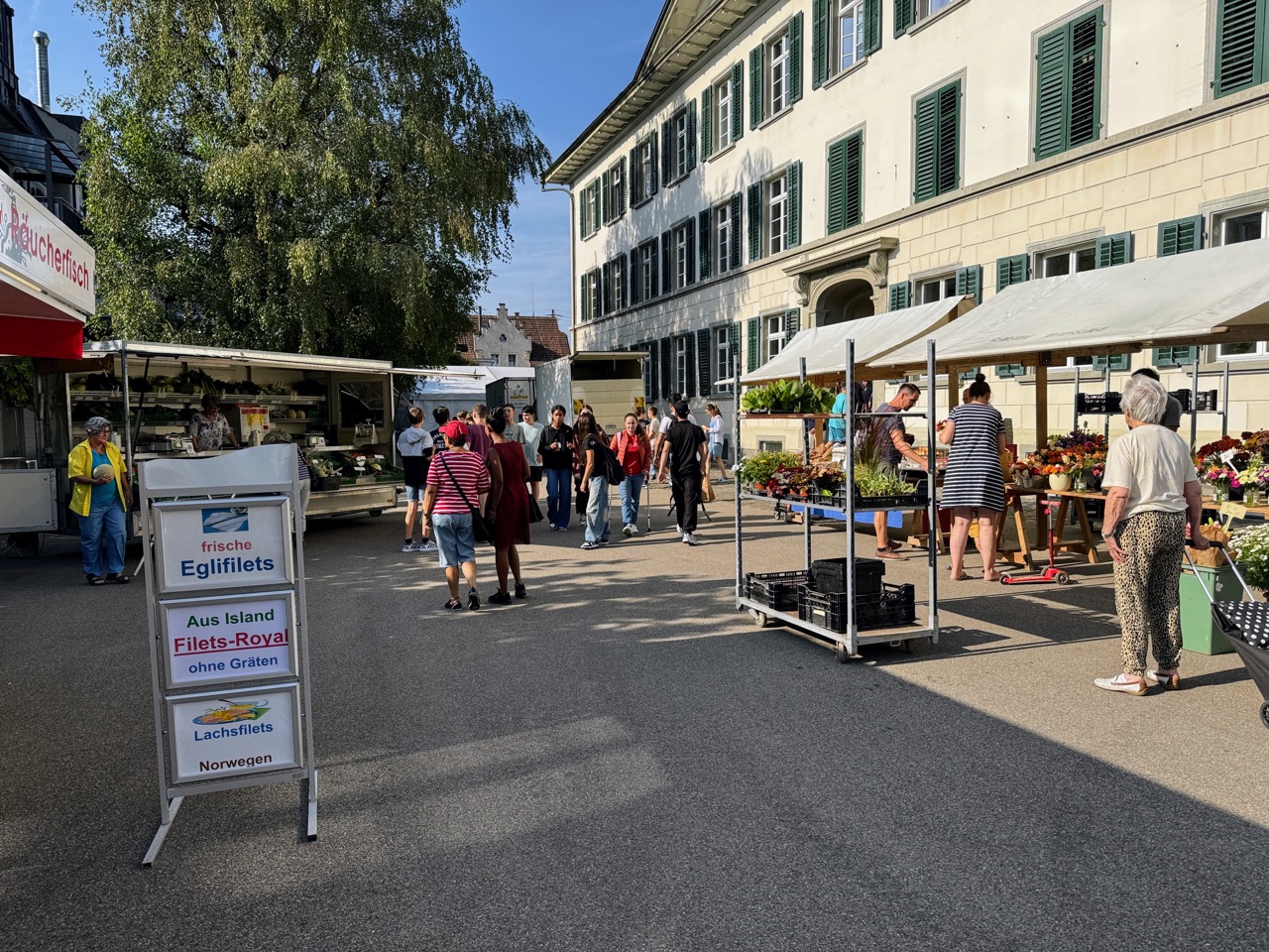 wochenmarkt weinfelden WYFELDER – lokal informiert pestalozziplatz 00002