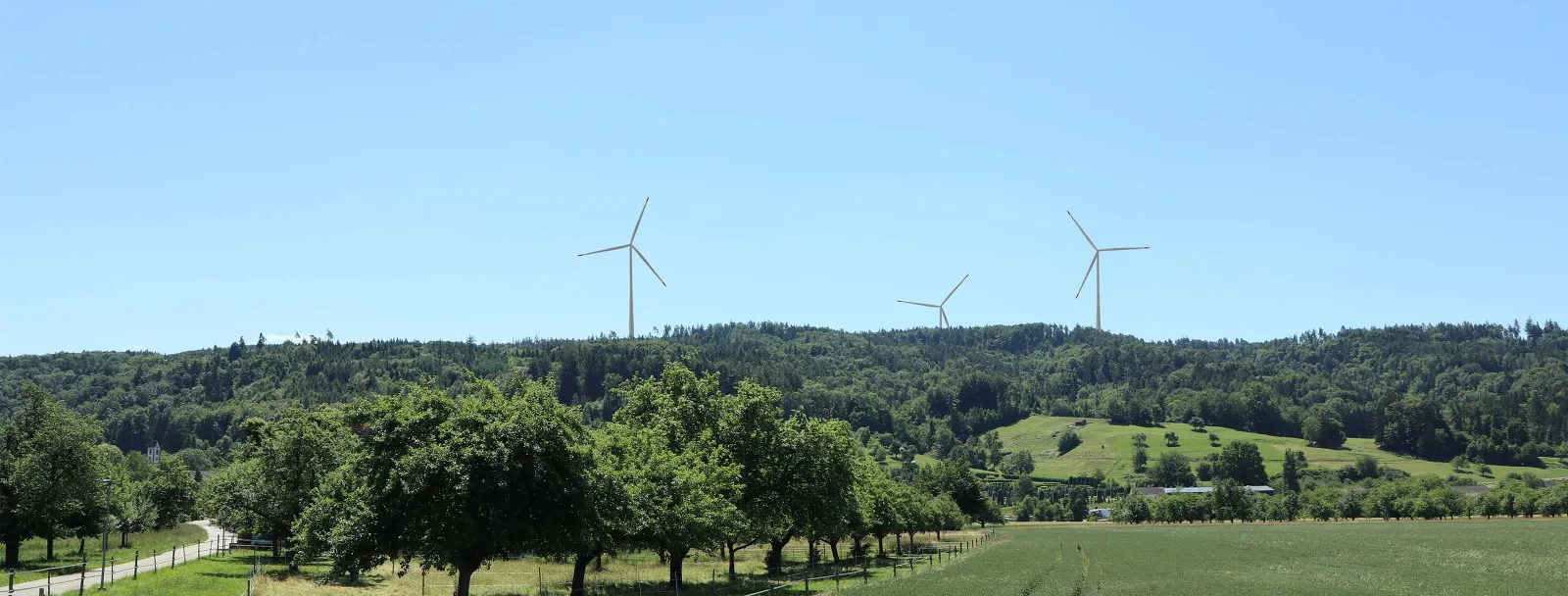 Quelle: Wellenberg Wind AG Visualisierung des neuen Windpark-Projekts mit drei Anlagen.