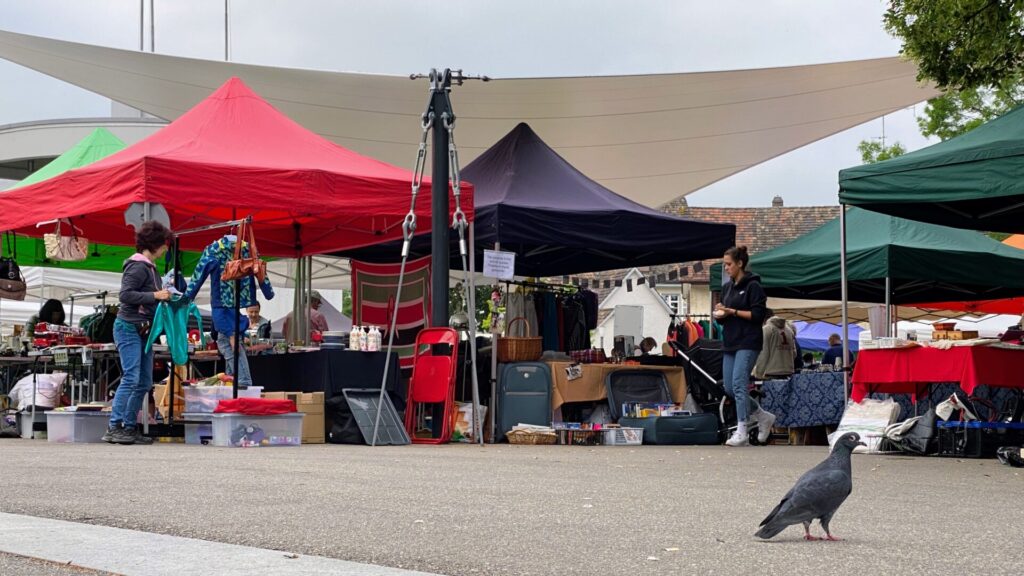 flohmarkt weinfelden mediazeit WYFELDER – lokal informiert