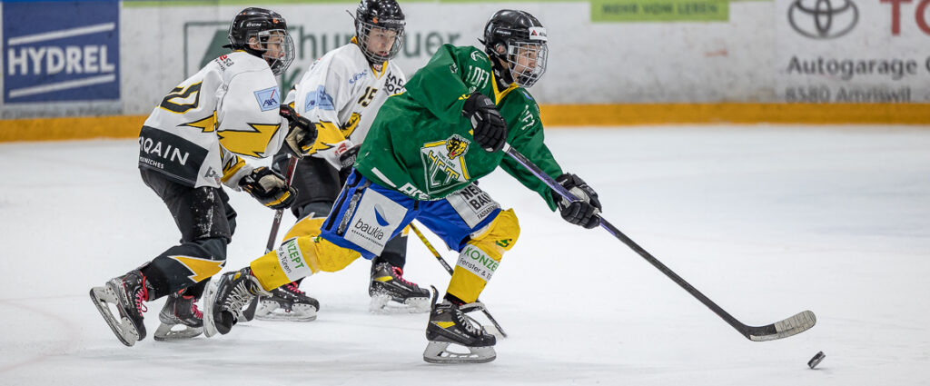 hct young lions hc Thurgau WYFELDER – lokal informiert