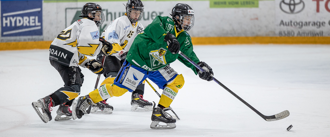 hct young lions hc Thurgau WYFELDER – lokal informiert