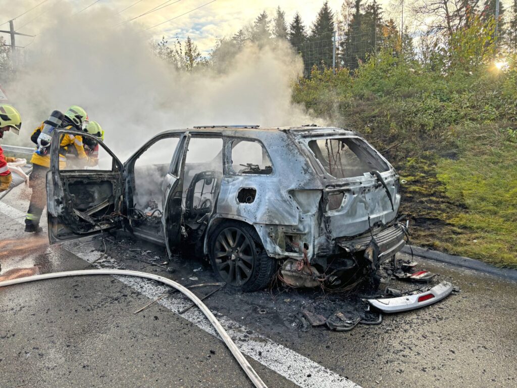 Beim Autobrand wurde niemand verletzt. (Bild: Kantonspolizei Thurgau)