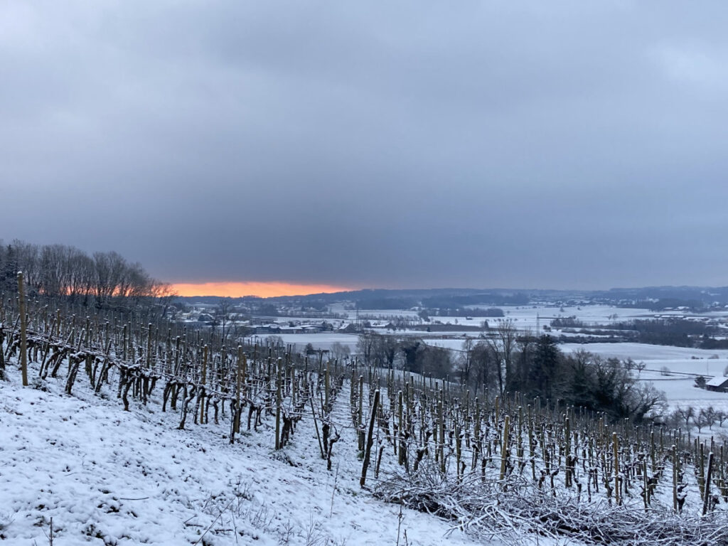WYFELDER – lokal informiert weinfelden winter