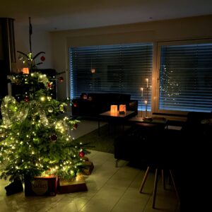 weihnachten weihnachtsbaum chritbaum weinfelden WYFELDER – lokal informiert entsorgen grünabfuhr raz