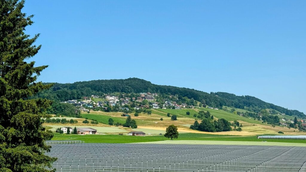 ottenberg ottoberg weinfelden mittelthurgau wyfelder weinfelden mediazeit