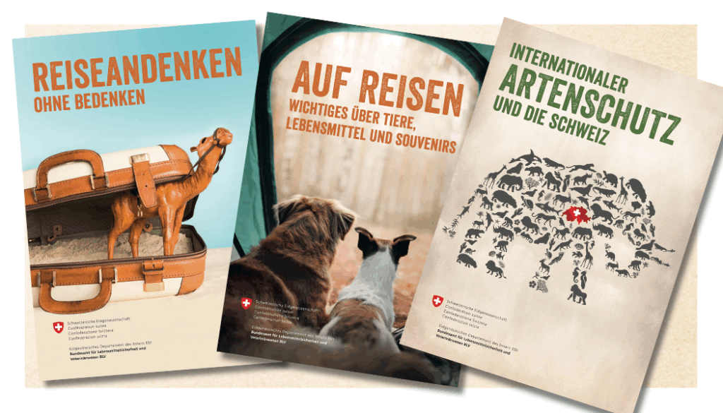 Wichtige «tierische» Verhaltensregeln für die Ferien im Ausland thurgau WYFELDER – lokal informiert