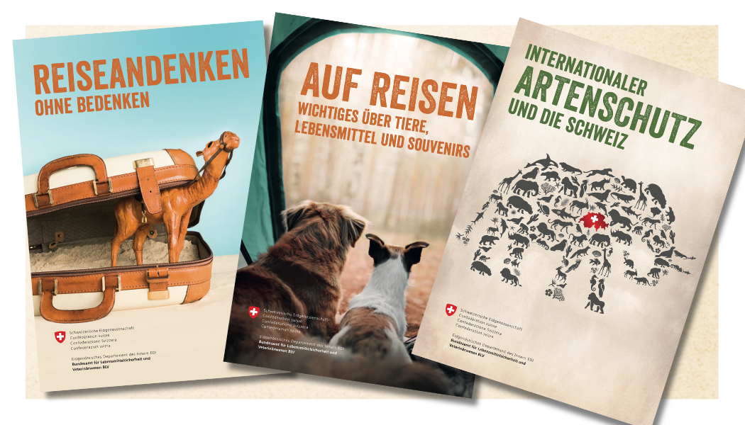 Wichtige «tierische» Verhaltensregeln für die Ferien im Ausland thurgau WYFELDER – lokal informiert