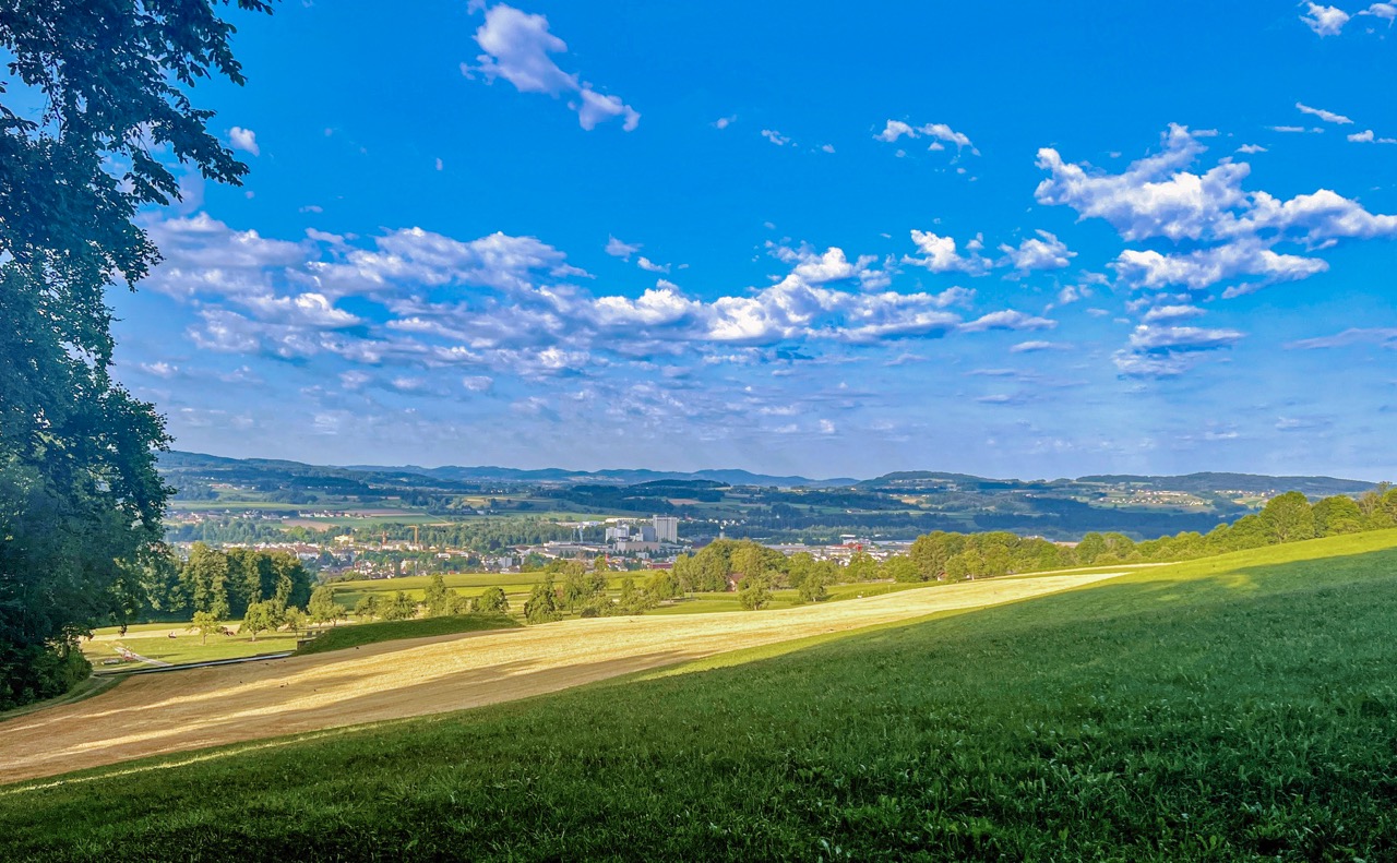 schiessanlage hau weinfelden WYFELDER – lokal informiert mediazeit