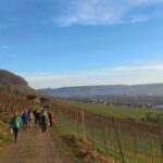 40 Jahre, 40 Kilometer: Verein «Thurgauer Wanderwege» lädt zum grossen Wandertag ein