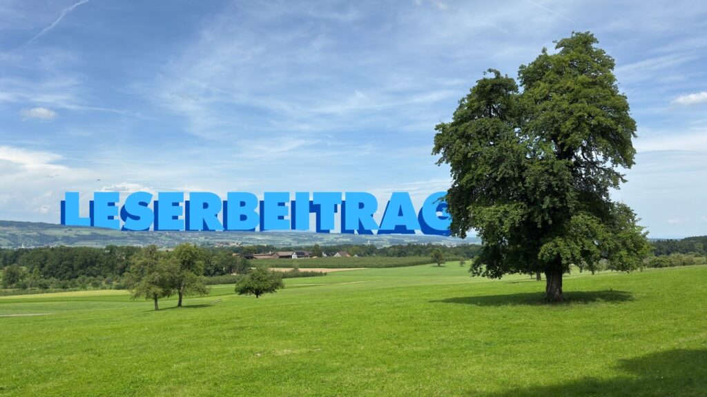 leserbeitrag WYFELDER – lokal informiert weinfelden 1