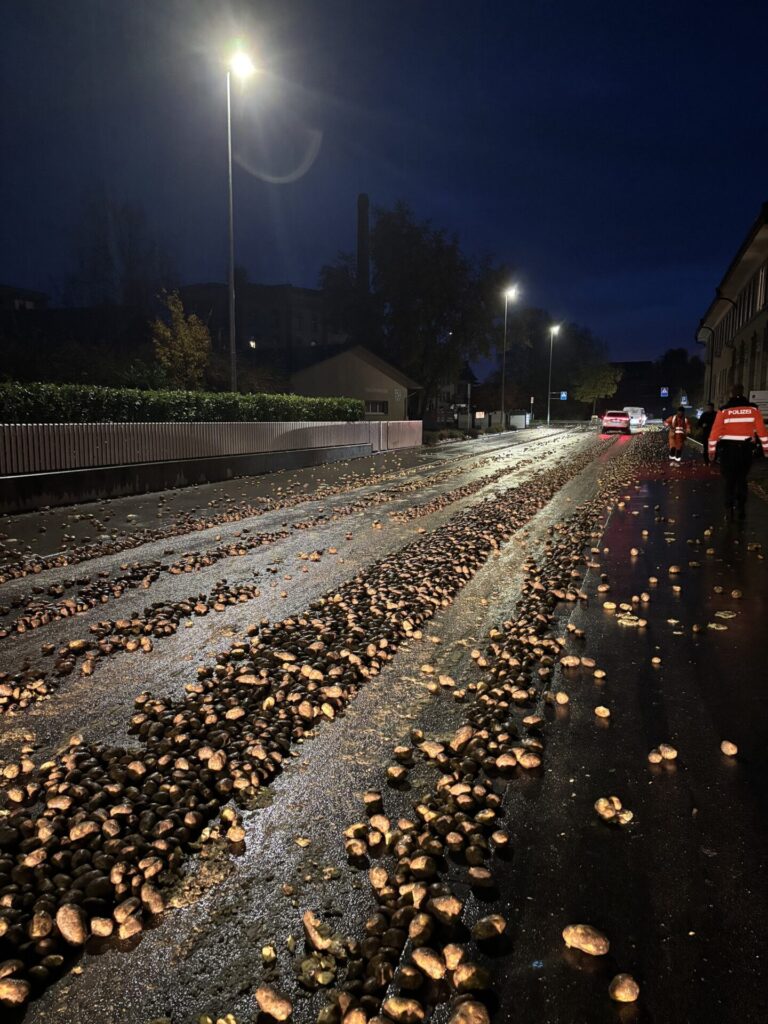 Die Kartoffeln lagen über rund 300 Meter verteilt. (Bild: Kantonspolizei Thurgau)