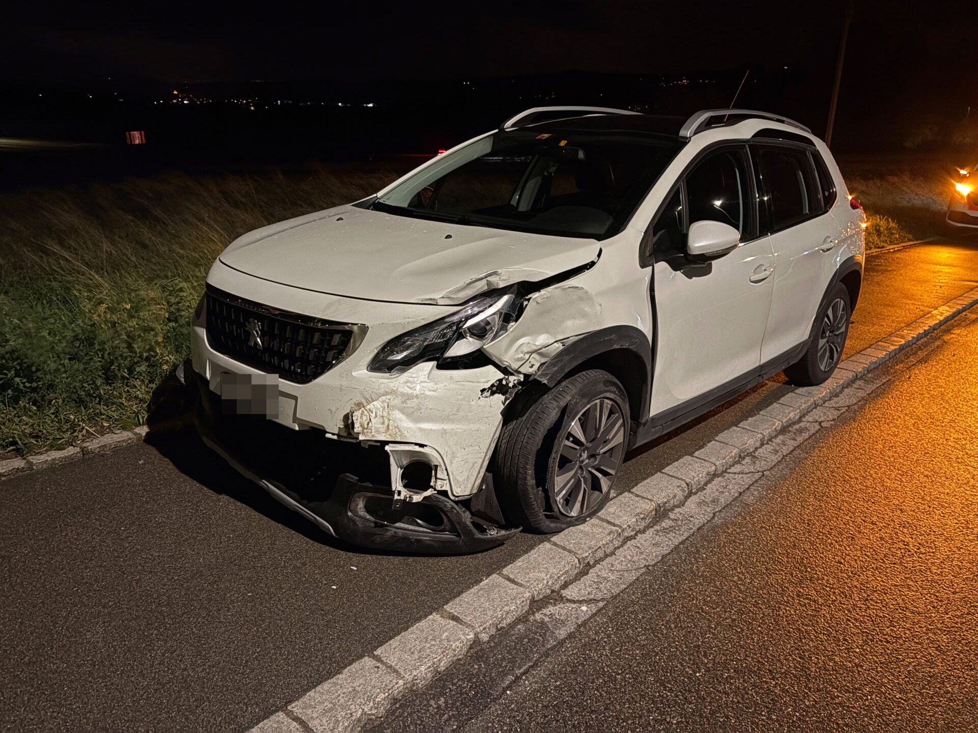 Beim Verkehrsunfall entstand Sachschaden von mehreren tausend Franken. (Bild: Kantonspolizei Thurgau)